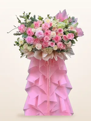 Kệ Hồng Pastel Ngọt Ngào